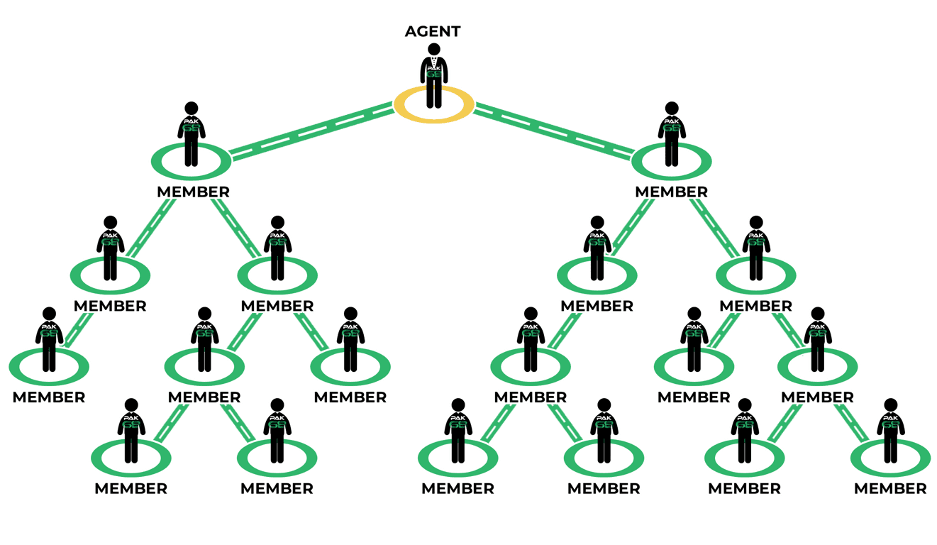 Agent Pyramid Structure